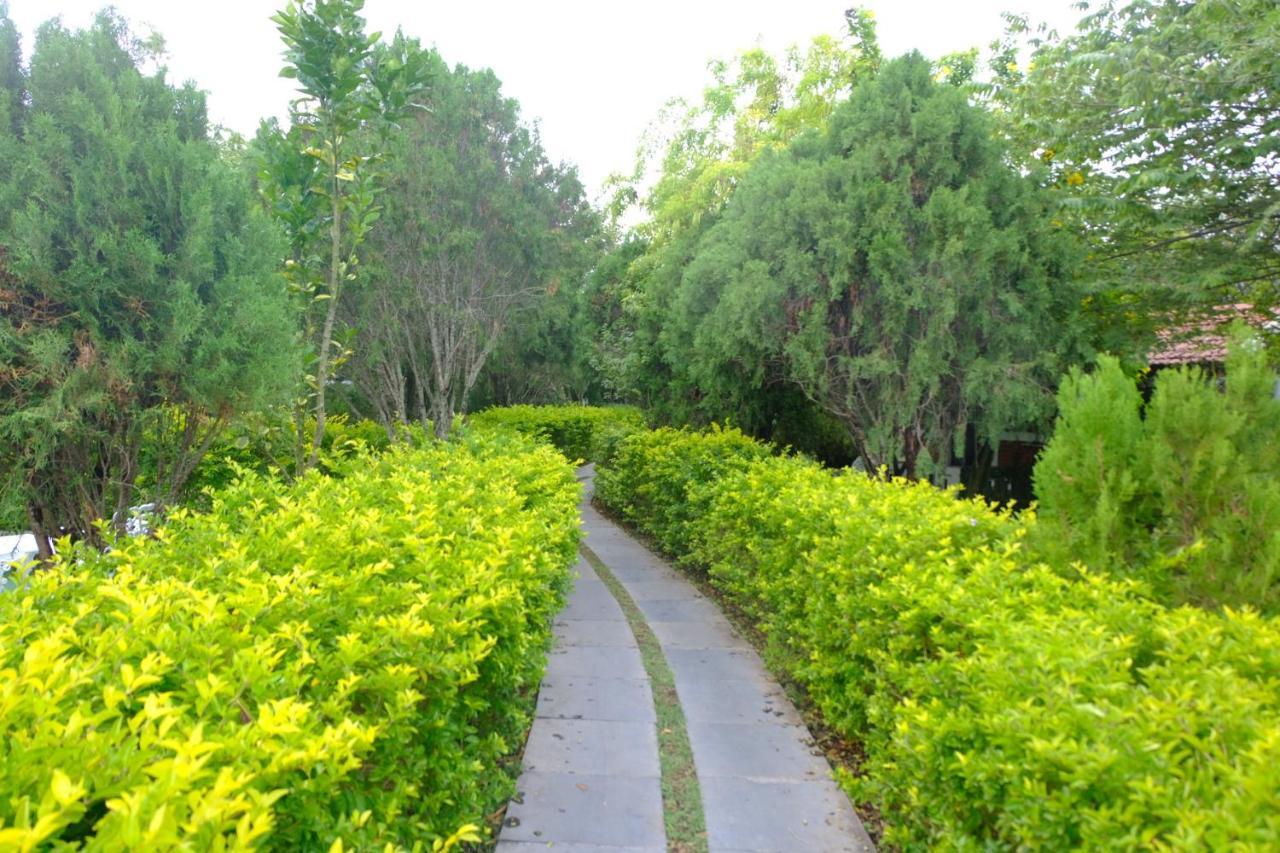 Chalets Resort Masinagudi Ooty Exterior photo