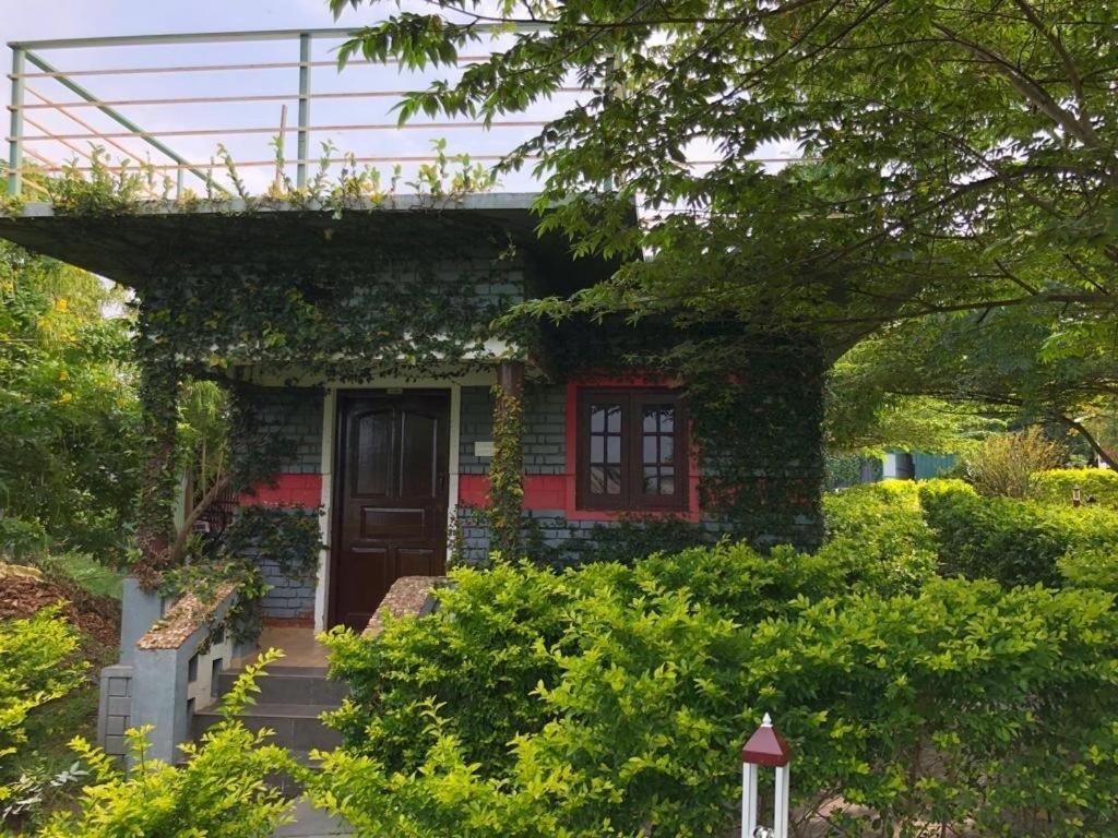 Chalets Resort Masinagudi Ooty Exterior photo