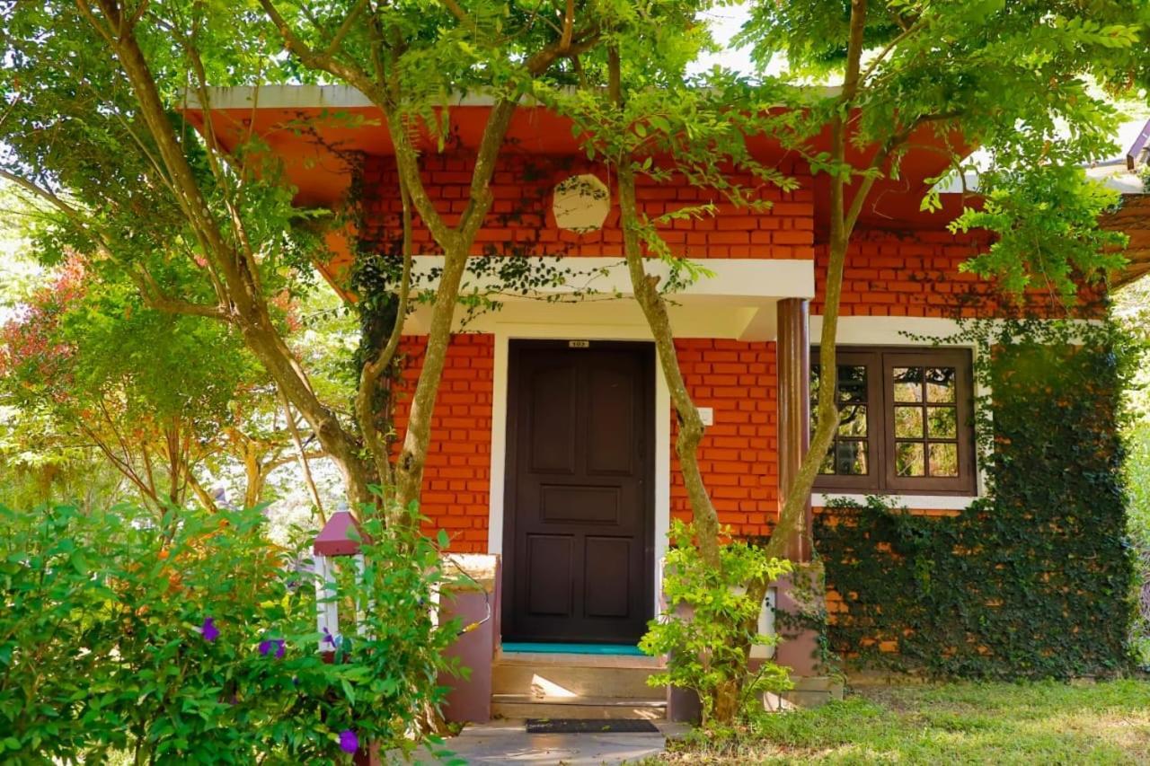 Chalets Resort Masinagudi Ooty Exterior photo