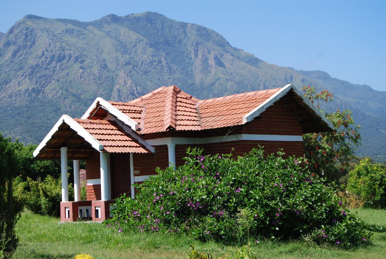 Chalets Resort Masinagudi Ooty Exterior photo